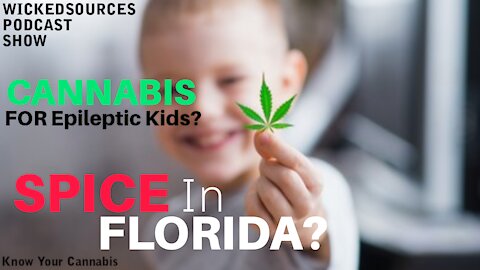 Cannabis For Children With Epilepsy And Synthetic Cannabis In Florida A Know Your Cannabis Segment