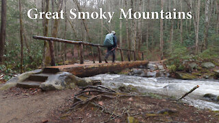 Smoky Mountains Backpacking: Rich Mountain Gap to Tremont