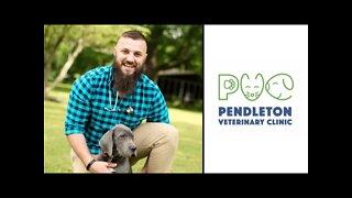 Ask A Vet 🙋 LIVE Q&A with Dr. Brent Crabtree!