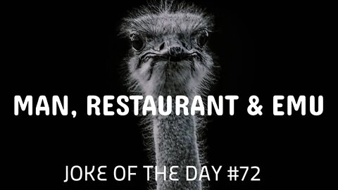Joke Of The Day #72- A MAN walks into a RESTAURANT with an EMU !