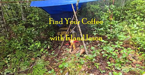 Find Your Coffee with IslandJason