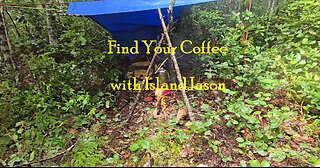 Find Your Coffee with IslandJason