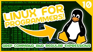 Linux for Programmers #10 - Grep Command & Regular Expressions