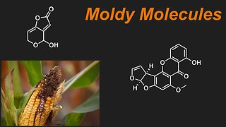 The Science of Mold Toxins