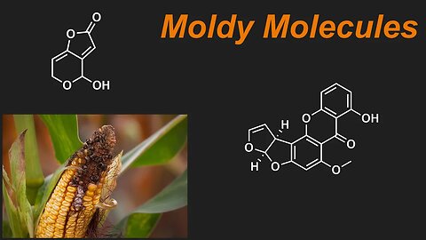 The Science of Mold Toxins