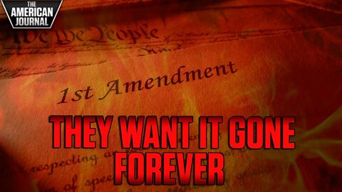 The 1st Amendment Now Under Four-Pronged Pincer Attack By Globalist Forces