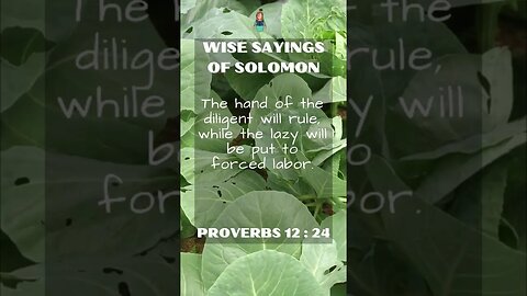 Wise Sayings of Solomon | Proverbs 12:24