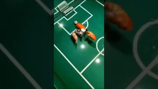 Partida de futebol de peixes 😲😲