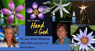 The Floral Hand Of God - Quantum Healing From Nature