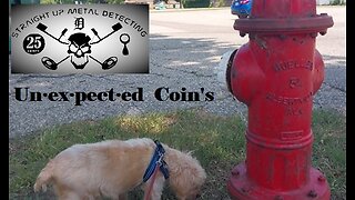 straight Up Metal Detecting : "Unexpected Coins" : 2023