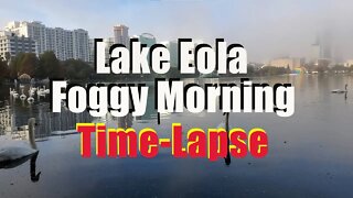 Foggy morning time-lapse at Lake Eola - Winter 2021