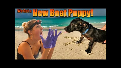 Welcome our new dog Bucky! and Sailboat Racing!