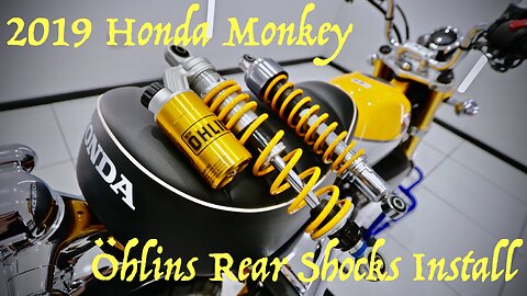 Homnda Monkey 125 Ohlins Suspention Upgrade Installation Guide!