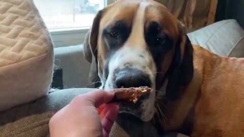 Sausage treats! 🐶😊