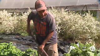 Washtenaw County is making it a goal to invest in Black farmers and you can help them succeed