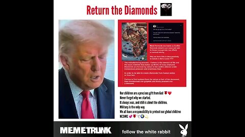 RETURN THE DIAMONDS Did you know they tortured and murdered and ate our children