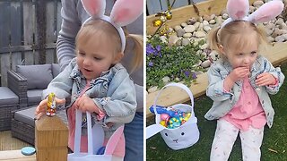 Excited Toddler Finds “Too Many Bunnies” on Easter Egg Hunt
