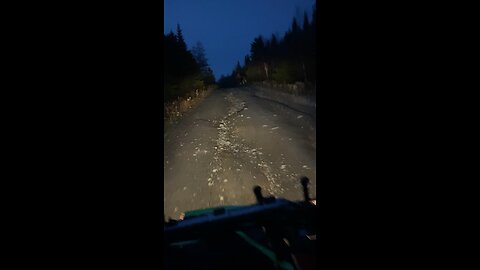 Moose wouldn’t get up the road ￼