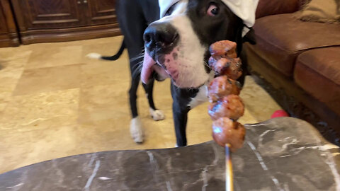 Foodie Great Dane Loves Italian Sausage On A Stick