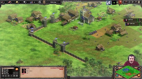 Hurljack (Vietnam) vs Greyon (Britions) || Age of Empires 2: Definitive Edition