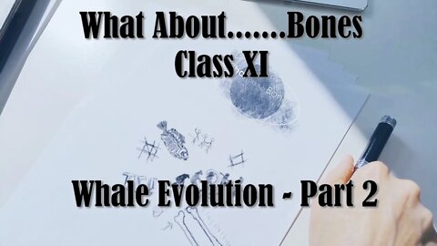 What About...... Whale Evolution | Class XI | Academy of Hope | Reasons for Hope