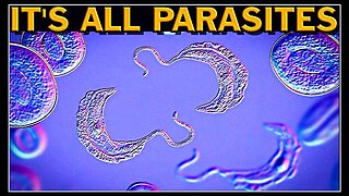 It's All Parasites: Cancer Vaxxine Remedies Dr. Lee Merritt