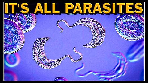 It's All Parasites: Cancer Vaxxine Remedies Dr. Lee Merritt