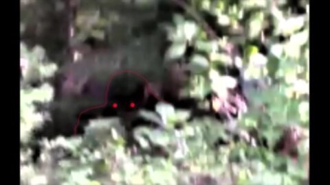 World Bigfoot Radio #149 ~ Bigfoot Clan & Portal caught on video! / Keith Crabtree