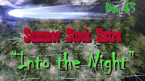 Summer Stock Extra "Into The Night" #NorthGenetics - #Spacedust 👽 #SpiderFarmer #sf2000 day 63 ❄🔨