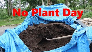 *One Plant a Day4 (No Plants)