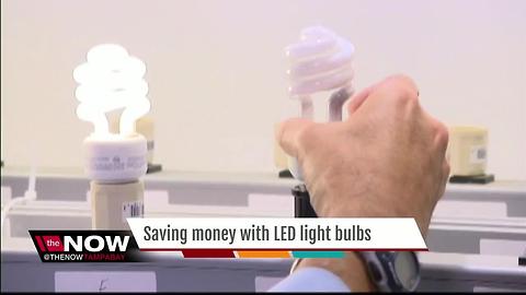 Saving money with LED light bulbs