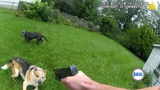 Algonac Dog Shooting