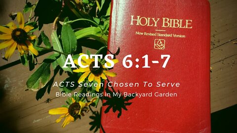 ACTS 6:1-7 (Seven Chosen to Serve)