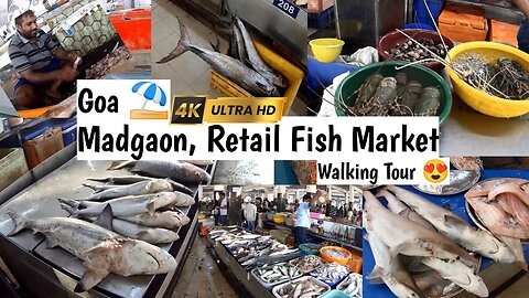 [4k] biggest indias retail fish market walking tour #walking #travel #fishmarket