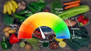 10 Highly Alkaline Foods That Will Benefit Your Body (Alkaline Foods List)