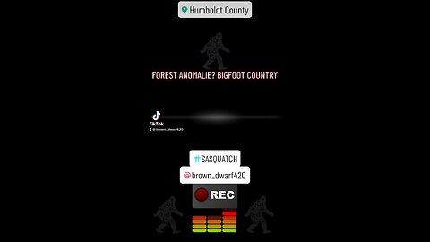 Forest Anomaly? Bigfoot Country