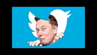 Elon Musk DESTROYS Twitter's Echo Chamber