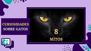 8 Curiosidades Sobre Gatos que Você Precisa Saber