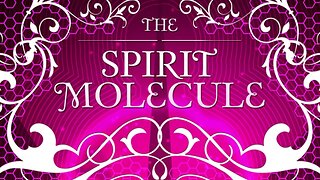 DMT The Spirit Molecule 2010