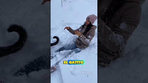 Un Gato que no era Gato