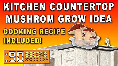 Kitchen Countertop Mushroom Grow Idea \\ Cooking Recipe Included! \\ 90-Second Rice