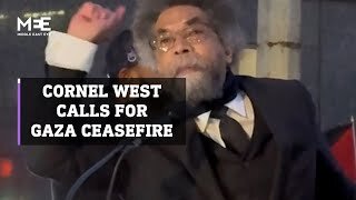 Cornel West calls for an immediate ceasefire in Gaza