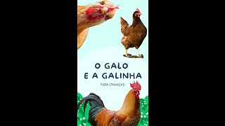 O Galo e a Galinha 🐔 Curiosidades sobre os galos e galinhas para crianças. Escute o som da galinha