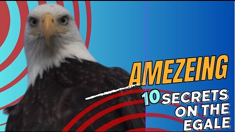 Sure! Here are 10 facts about eagles