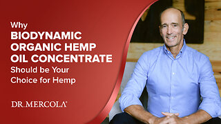 Why BIODYNAMIC ORGANIC HEMP OIL CONCENTRATE Should Be Your Choice for Hemp