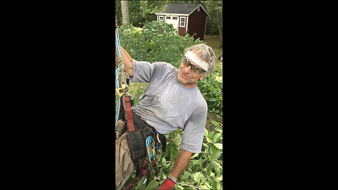 Robbie Gallo of Gallo Tree Service