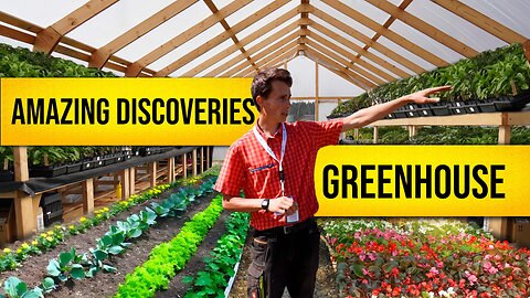 A Look Inside Amazing Discoveries Greenhouse