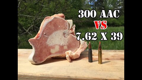 300 AAC Blackout vs 7.62x39... Bone Test