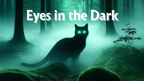 Eyes in the Dark: The Witch's Familiar