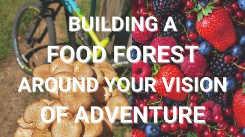 Using FOOD FORESTS to Build Your Version of Community and Adventure in South Carolina - IdeallyEco